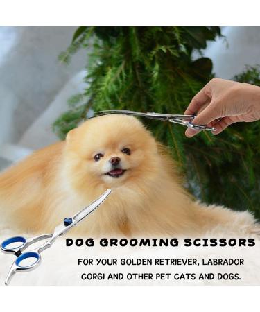 Premium Dog Scissors | Stainless Steel Grooming Scissors for Dogs & Cats | Safety Round Tip Dog Hair Scissors - Buy Online on GoSupps.com