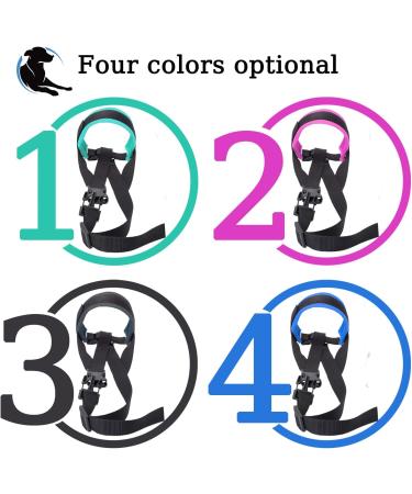 ILEPARK Adjustable Fabric Muzzle for Small Medium & Large Dogs - Breathable Prevents Biting (XL Green) - Buy Online on GoSupps.com