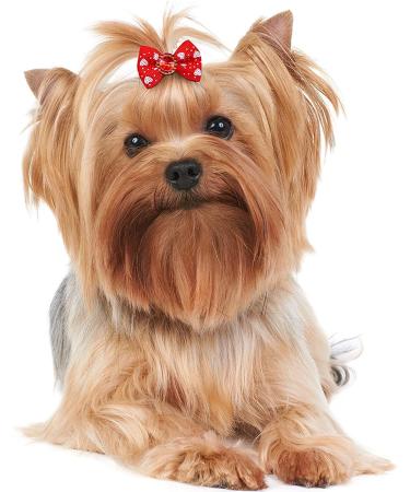 Camidy 50pcs Dog Bows | Cute Puppy Hair Bows with Rubber Bands for Grooming | Small Dog Accessories - Buy Online on GoSupps.com