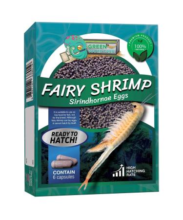 GreenWaterFarm Fairy Shrimp Sirindhornae Eggs Live Fish Food for Hatching and Culture Suitable for Feed Betta Fish