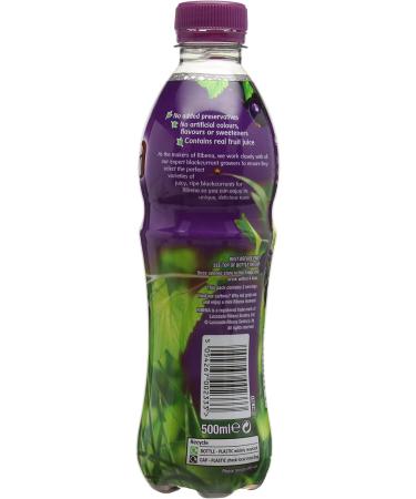 Ribena Blackcurrant Juice 500ml - Buy Online on GoSupps.com