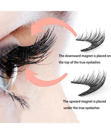 Magnetic Eyelashes with Applicator Reusable Strip Lashes Magnetic Eyelashes Natural Look Magnetic Eyelashes without Eyeliner No Glue or Eyeliner Needed Magnetic Eyelashes Easy to Use - Buy Online on GoSupps.com