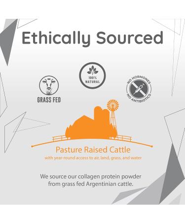  Pure Health Pure Collagen: Bovine Peptides Hydrolyzed Collagen Protein Powder 100% Grazing | No Hormones or Steroids | No Flavor & Dissolves | 20g Protein | Paleo Keto Bulletproof | 16oz - Buy Online on GoSupps.com
