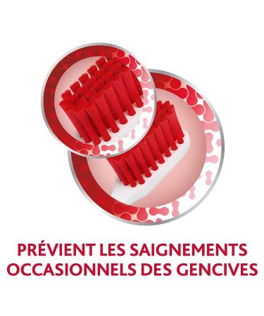 Aquafresh Periodontax Extra Soft Toothbrush - Bleeding Gums Prevention - Random Model & Color - Buy Online on GoSupps.com