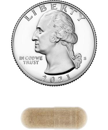 Spring Valley Valerian Root 500 mg Vegetarian Capsules 100 Count Natural Relaxation & Calmness - Set by Basket Goods - Buy Online on GoSupps.com