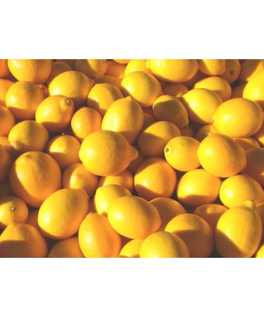 Organic Lemons - 10 Lb. Case