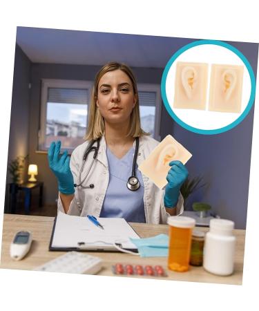 ULTECHNOVO 1 Pair Silicone Ear Models - Human Body Science Teaching Tools - Buy Online on GoSupps.com