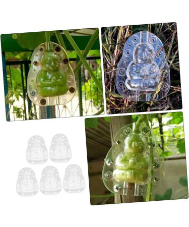 Yardenfun 5pcs Vegetable Ginseng Fruit for Garden Fruit Vegetable Small Fruit Gourd - Buy Online on GoSupps.com