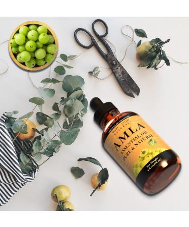 Mary Tylor Naturals Amla Seed Oil (4 oz) - Premium Therapeutic Grade, 100% Pure & Natural, Cold-Pressed, Unrefined - Ideal for Hair Care - Buy Online on GoSupps.com