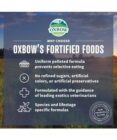 0XB0W Essentials Hamster Gerbil Food (2 Packs of 1 Pound Each) - Buy Online on GoSupps.com