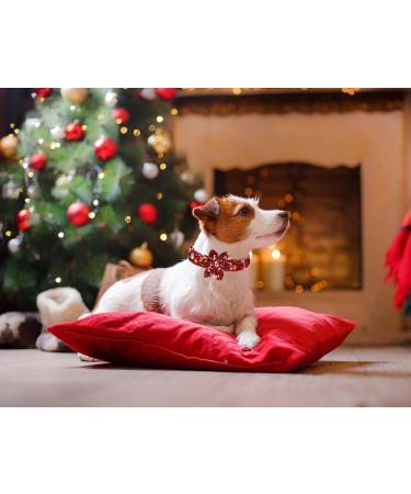 Aring Pet Christmas Dog Collar - Cute Santa Claus Design with Flower | Cotton Red Collar for Small Medium Large & XL Dogs - Perfect Holiday Accessory - Buy Online on GoSupps.com