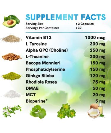 12-in-1 Nootropic Brain Supplement Anhydrous: Ginkgo Biloba for Brain Support, Memory and Focus - B12, Alpha GPC, L Theanine and Choline Supplements with Bioperine non Caffeinated 1321mg (180ct) 60 Count (Pack of 3) - Buy Online on GoSupps.com