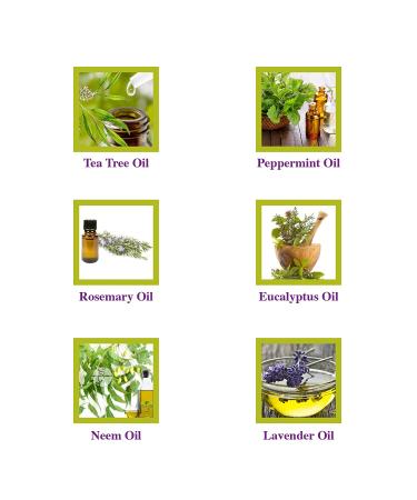Lice Guard Gel for Kids with Tea Tree, Rosemary & Peppermint - Little Green Kids - Buy Online on GoSupps.com