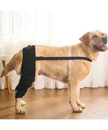 WOBBLO Support for Dog Knee Brace for Rear Leg | Pet Leg Wounds Protector Hip Joint Support Protects Wounds for Small and Medium Dogs - Buy Online on GoSupps.com