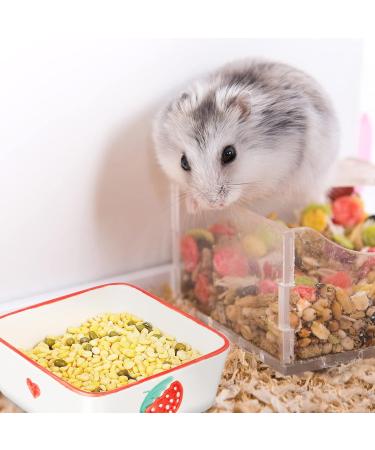 Ceramic Rat, Hamster, Rabbit, Guinea Pig Food Bowl Set - 2pcs, Cute Plates, Water Dish for Bunny, Gerbil, Ferret, Chinchilla - Buy Online on GoSupps.com