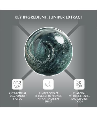  SPLAT SPLAT Blackwood Activated Charcoal Whitening Toothpaste | Suitable for Vegetarians SLES Free 75g - Buy Online on GoSupps.com