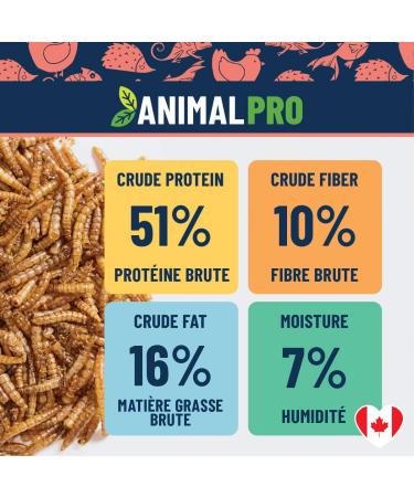 AnimalPro Mealworms 454 g (1 LB) Approx 17 000 Mealworms - Buy Online on GoSupps.com