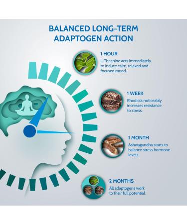 Health4All Load Off Adaptogen Complex 120 Capsules - Anxiety & Stress Support Supplement with Ashwagandha, Rhodiola & L-Theanine - Vegan Friendly - 120 Count - Buy Online on GoSupps.com