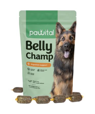 Pawital Belly Champ - Natural Hundeleckerlis with wild salmon probiotics for the digestion of dogs intestinal health and immunity of dogs.Human quality.Salmon flavor 60 Kausnacks