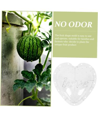 OSALADI Plant Plastic Fruit Clear Fruit Yard Fruit Fruit Forming Heart-Shaped Pumpkin - Buy Online on GoSupps.com