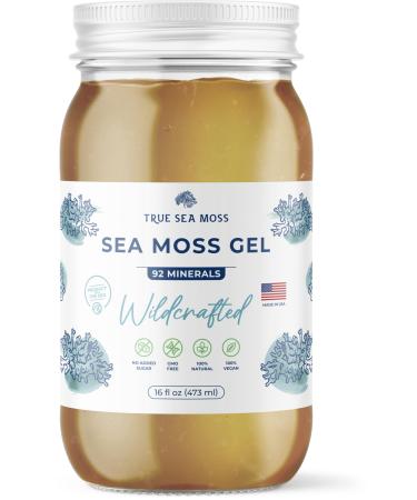 TrueSeaMoss Sea Moss Gel - Alternative Form of Sea Moss - Wildcrafted Irish Sea Moss Gel - Sea Moss Gel Organic Raw - Made in the USA - Wildcrafted Sea Moss Gel 473ml (16 Fl Oz)