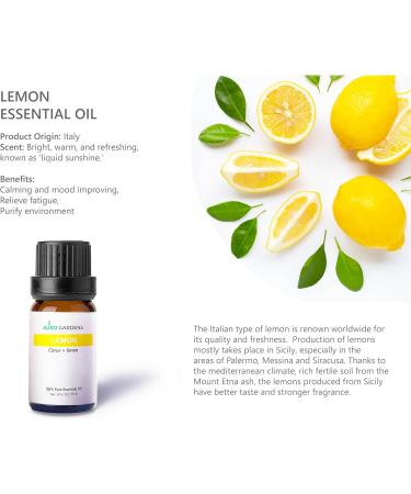 Citrus Essential Oil Set - Pack of 6 Pure Therapeutic Grade 10ml Oils | Lemon Grapefruit Sweet Orange Lime Bergamot & Petitgrain - Buy Online on GoSupps.com