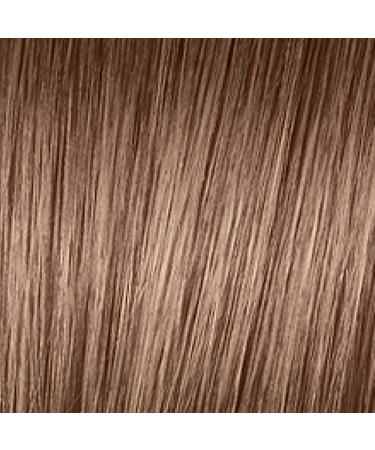 L'Oreal Paris Feria B61 Downtown Brown Hi-Lift Cool Brown Hair Color - Pack of 1 - Buy Online on GoSupps.com