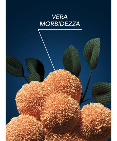 MorbiVel Giardino Zen Concentrated Fabric Softener 750 ml - Made in Italy | Premium Italian Import for Soft & Fresh Laundry - Buy Online on GoSupps.com