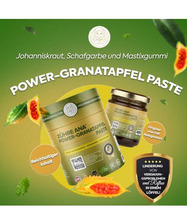 Z hre Ana Power Pomegranate Paste: 100% Natural Formulation | Natural Aid for Stomach Problems Reflux Gastritis and Digestive Disorders | Fast Acting Anti-Inflammatory Properties 240 ml (Pack of 1) - Buy Online on GoSupps.com