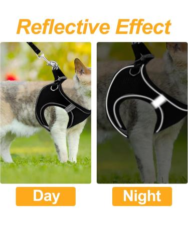 Frevoitna Adjustable Cat Dishes & Leash Set - Outbreak-Proof Harness Breathable Design Perfect for Walks (Black Small) - Buy Online on GoSupps.com