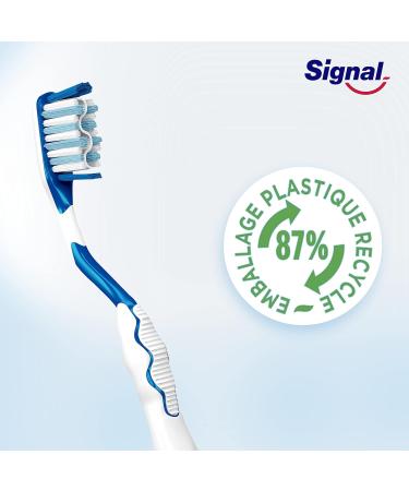 Buy Signal Toothbrush X12 Medium - Intense Shine & Enamel Protection | 12 Pieces - International Shipping Available - Buy Online on GoSupps.com