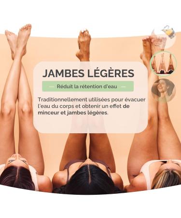 Herbes du Monde DUO Infusion Bien- tre : Queues de Cerises 100g & Reine des Pr s BIO 60g avec Infuseur | Plantes Infuser 100% Naturelles 2 Sachets + 1 Infuseur - Buy Online on GoSupps.com