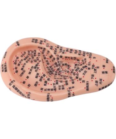 Buy Ear Acupuncture Point Model - Clear Display for Classrooms | International Shipping Available - Buy Online on GoSupps.com