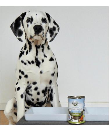 Bellfor Landgut-Menu Junior Hypoallergenic Wet Food with Insects for Puppies 6 x 400 g Ideal for Feeding Growing Dogs - Buy Online on GoSupps.com