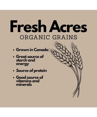Organic Rye Berries Canadian Grown Bulk Dry 4.54 Kg Fresh Acres - Buy Online on GoSupps.com