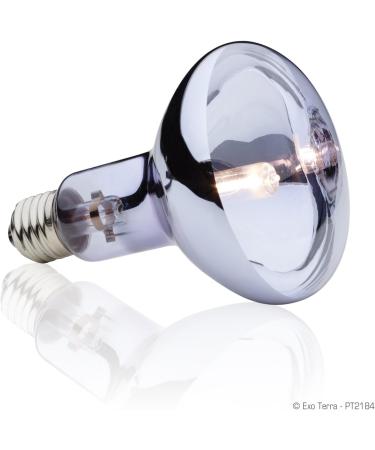 Exo Terra Halogen Basking Spot 150 Watt - Ideal for Reptile Lighting | International Shipping Available - Buy Online on GoSupps.com