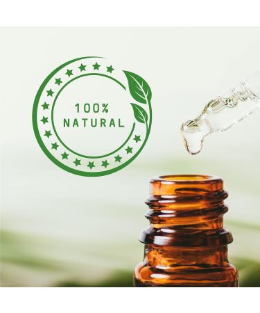 Buy Mystic Moments Cananga Essential Oil 1 kg - Natural Vegan Oil for Diffusers Aromatherapy & Massage | GMO-Free International Shipping - Buy Online on GoSupps.com