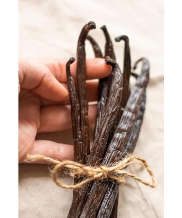 10 Madagascar Bourbon Vanilla Pods Premium Quality Gourmet 15 to 18 cm / 50 g - Buy Online on GoSupps.com