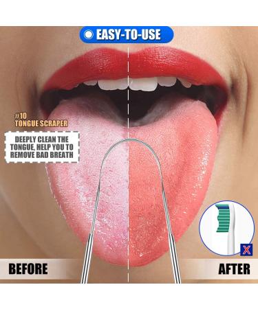10 Pack Dental Tools Set - Professional Stainless Steel Plaque Remover & Oral Care Kit - Buy Online on GoSupps.com