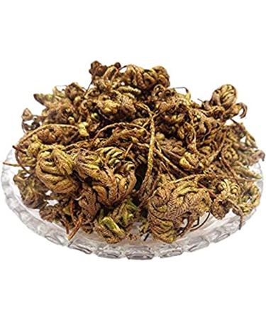 RAW HERBS/JADI BOOTI DRIED LAXMANA BOOTI SANJEEVNI SANJIVNI BOOTI LAKSHMANA BUTI SANJEEVANI BUTI SANJIVANI (250GM) - Buy Online on GoSupps.com