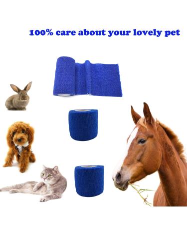 GSPCARE Mix Size Super Elastic Bandages for Vet Wrap & Sports - 4 Piece Assortment (Blue) - Buy Online on GoSupps.com