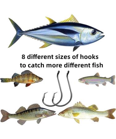 220-Piece Fishing Hooks Set | 2X Strong Circle Hooks for Freshwater & Saltwater Fishing | Offset Octopus Catfish Hooks in Multiple Sizes | BLACK Finish - Buy Online on GoSupps.com