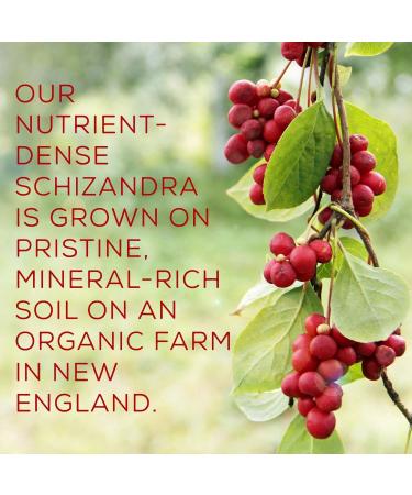 Organic Schizandra Extract - New England Grown (2oz) | Surthrival | Five-Flavored Berry Benefits - Buy Online on GoSupps.com