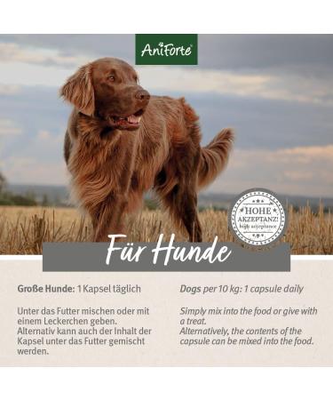 AniForte Tick Shield Tablets Dogs 60pcs - Natural Tick & Flea Treatment for Large Dogs | Easy-to-Use & Effective Repellent for Tick Protection | Chemical-Free Alternative to Flea Killer Sprays - Buy Online on GoSupps.com