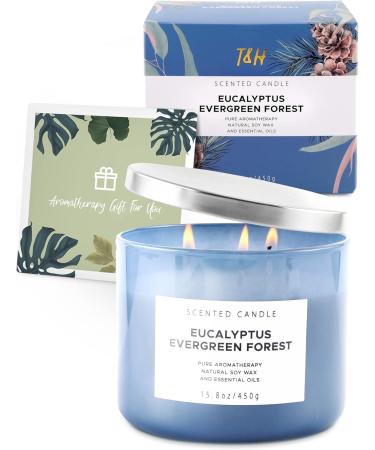 Eucalyptus Evergreen Forest 3 Wick Candle | Luxury Scented Aromatherapy Candle for Home | Relaxation & Stress Relief | 15.8 oz Balsam Fir Woods Candle - Buy Online on GoSupps.com