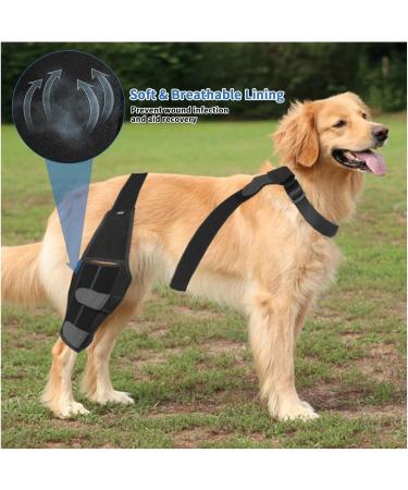 Adjustable Dog Knee Brace | Medium Black Pet Knee Pads for Joint Injury Recovery | Support Straps for Dogs - Buy Online on GoSupps.com