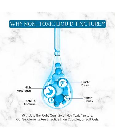 Absonutrix Acetyl L-Carnitine Liquid Drops - 593mg/Serving, 200 Servings, Quick Absorption, Gluten-Free, Non-GMO - GMP-Certified, Third-Party Tested, Made in USA - Buy Online on GoSupps.com