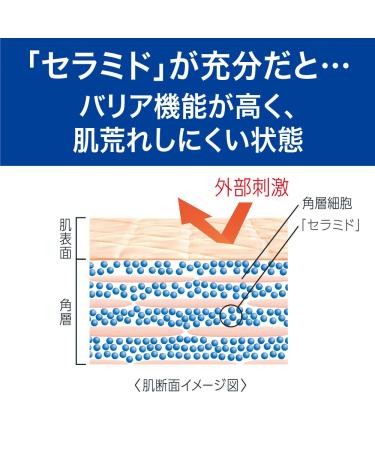 Curel JAPAN Kao Sebum Care Moisture Gel 120ml - Face Care Solution - Buy Online on GoSupps.com