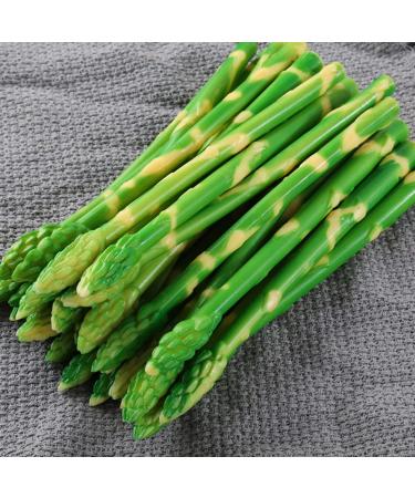 ifundom 50 Pcs Simulated asparagus ornaments food display show ornament kitchen food decor faux veggies Realistic vegetables artificial asparagus Educational Props pvc bouquet cupboard - Buy Online on GoSupps.com