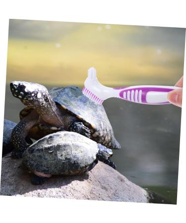 BESPORTBLE 3pcs Turtle Shell Cleaning Brush Turtle Brush Fish Tank Aquarium Scraper Brace Plastic 16x5cmx3pcs As Shown 3x3pcs - Buy Online on GoSupps.com